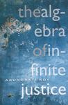 The Algebra Of Infinite Justice The Algebra Of Infinite Justice