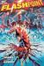 Flashpoint (Hardcover)