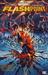 Flashpoint (Paperback)