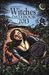 Llewellyn's 2013 Witches' D...