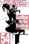 Bleach, Vol. 54: Goodbye to Our Xcution (Bleach #54)