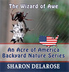 The Wizard of Awe by Sharon Delarose