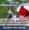 Over the Hummingbird's Rainbow by Sharon Delarose