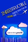 Indiestructible: Inspiring Stories from the Publishing Jungle Indiestructible: Inspiring Stories from the Publishing Jungle