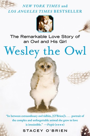 Short and Sweet Review – Wesley the Owl: The Remarkable Love Story of an Owl and His Girl by Stacey O’Brien Short and Sweet Review – Wesley the Owl: The Remarkable Love Story of an Owl and His Girl by Stacey O’Brien