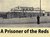 A prisoner of the Reds, the story of a British officer captured Siberia