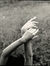 Corina