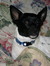 Peggy
