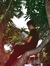 Jason