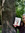 1245825