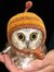 Wise_owl