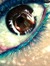 Blueshadow