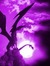 PurpleChaos Kimie