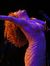 sondheim
