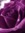 Tinka023