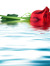 Romance...