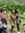 12453773