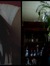 Yessica C