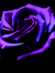 Kme_17