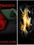 VampireRomanceBooks ThatsErotica