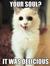 Pyxi