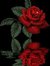 Rahul Pandey