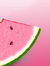 Watermelon Daisy