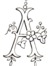 Aimee