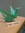 16570731