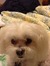 Chris