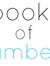 Amber (Books of Amber)