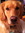 Jennifer
