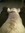 TJ