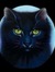 Darkened Warrior