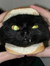 Jeff